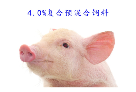 复合预混合饲料肉牛复合预混料54321products and services产品与服务